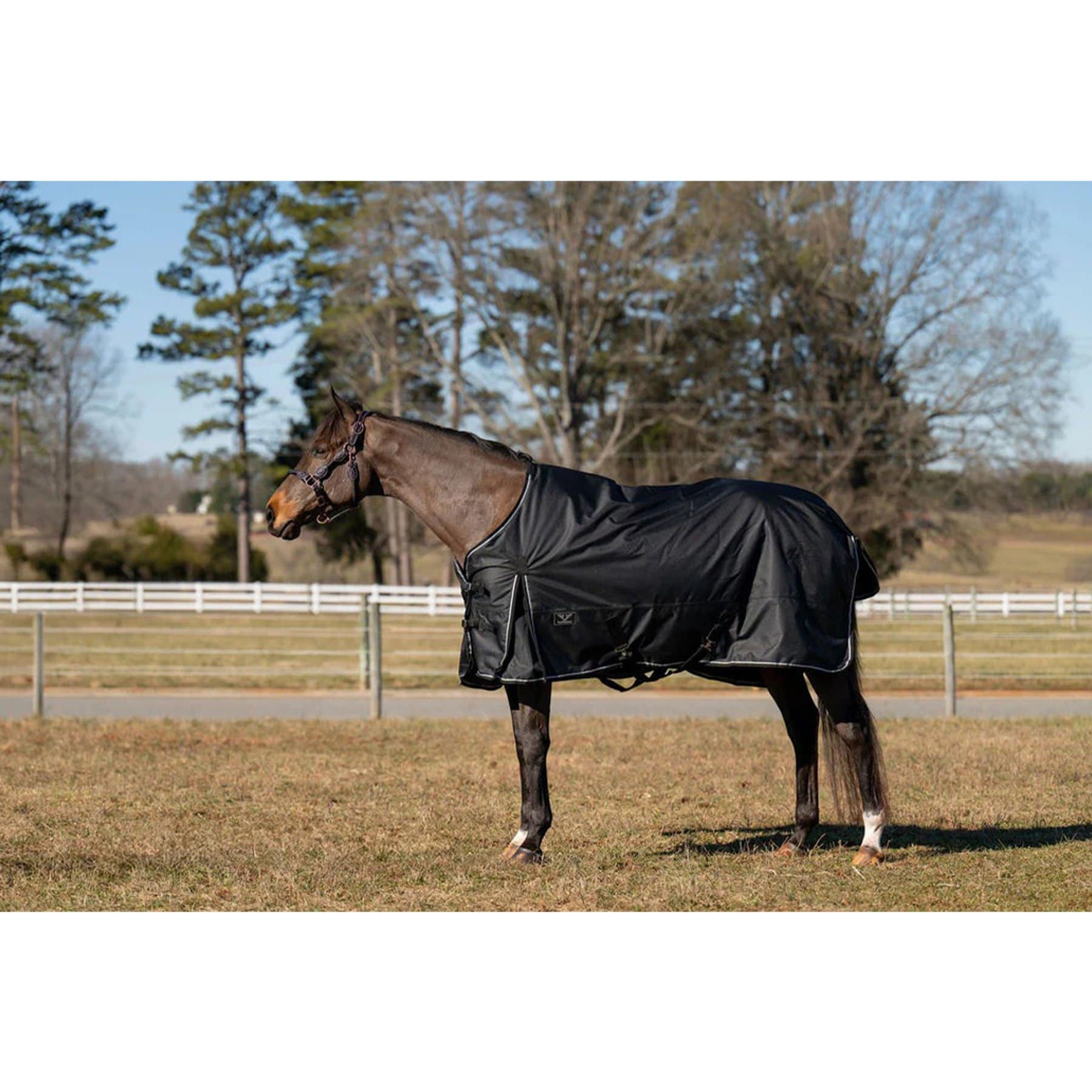 TuffRider 600 D 100 GSM Fill Ripstop Standard Neck Light Weight Turnout Horse Blanket, Black, 72