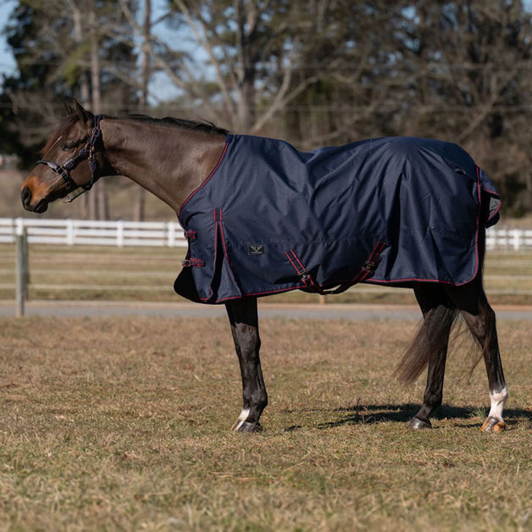 TuffRider 600 D 100 GSM Fill Ripstop Standard Neck Light Weight Turnout Horse Blanket, Navy, 81