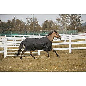 TuffRider 600 D Comfy Winter Horse Blanket, Black, 69-in