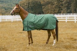 TuffRider 600 D Comfy Winter Horse Blanket, Hunter, 78-in