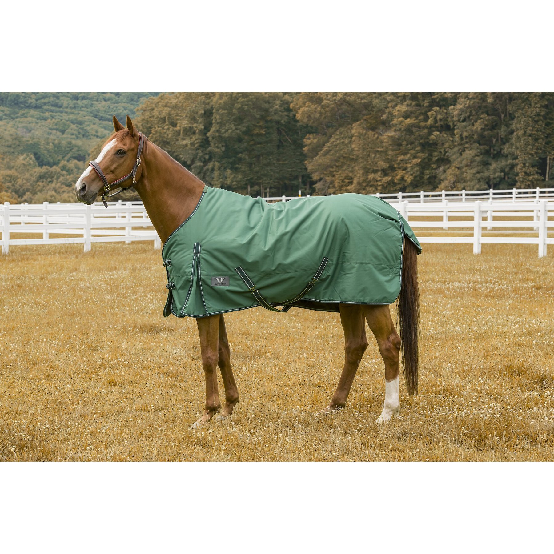 TuffRider 600 D Comfy Winter Horse Blanket, Hunter, 84-in