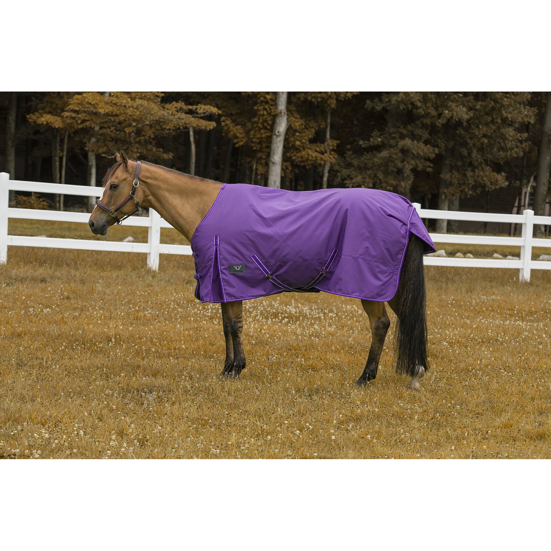TuffRider 600 D Comfy Winter Horse Blanket, Purple, 87-in