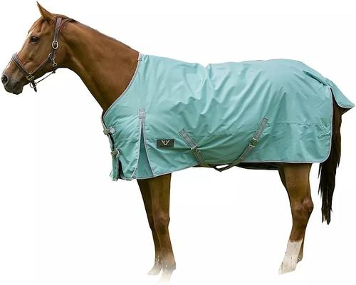 Show full view: TuffRider 600 D Comfy Winter Horse Blanket, Turquoise, 75-in slide 4 of 5
