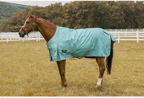 Show full view: TuffRider 600 D Comfy Winter Horse Blanket, Turquoise, 75-in slide 3 of 5