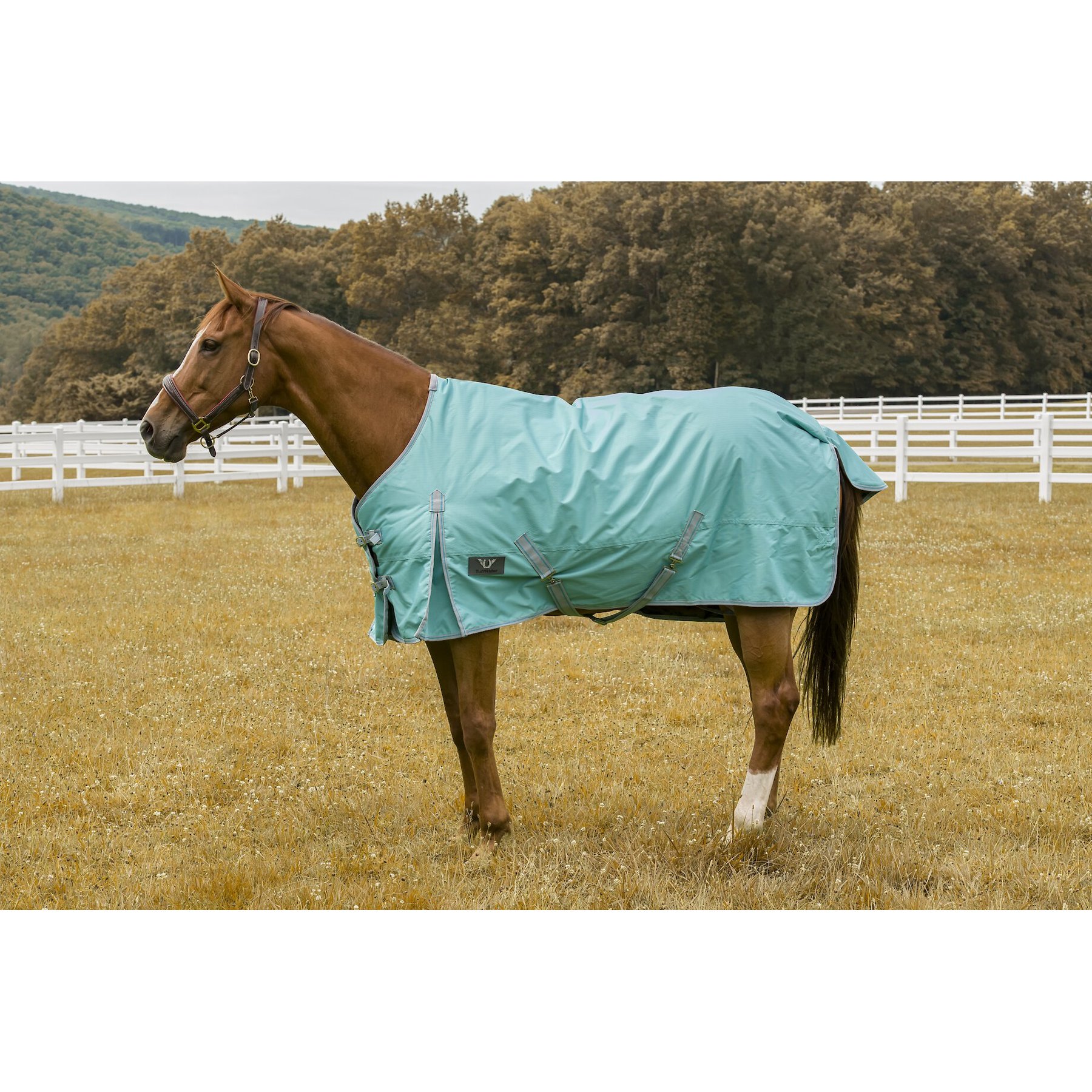 TuffRider 600 D Comfy Winter Horse Blanket, Turquoise, 87-in