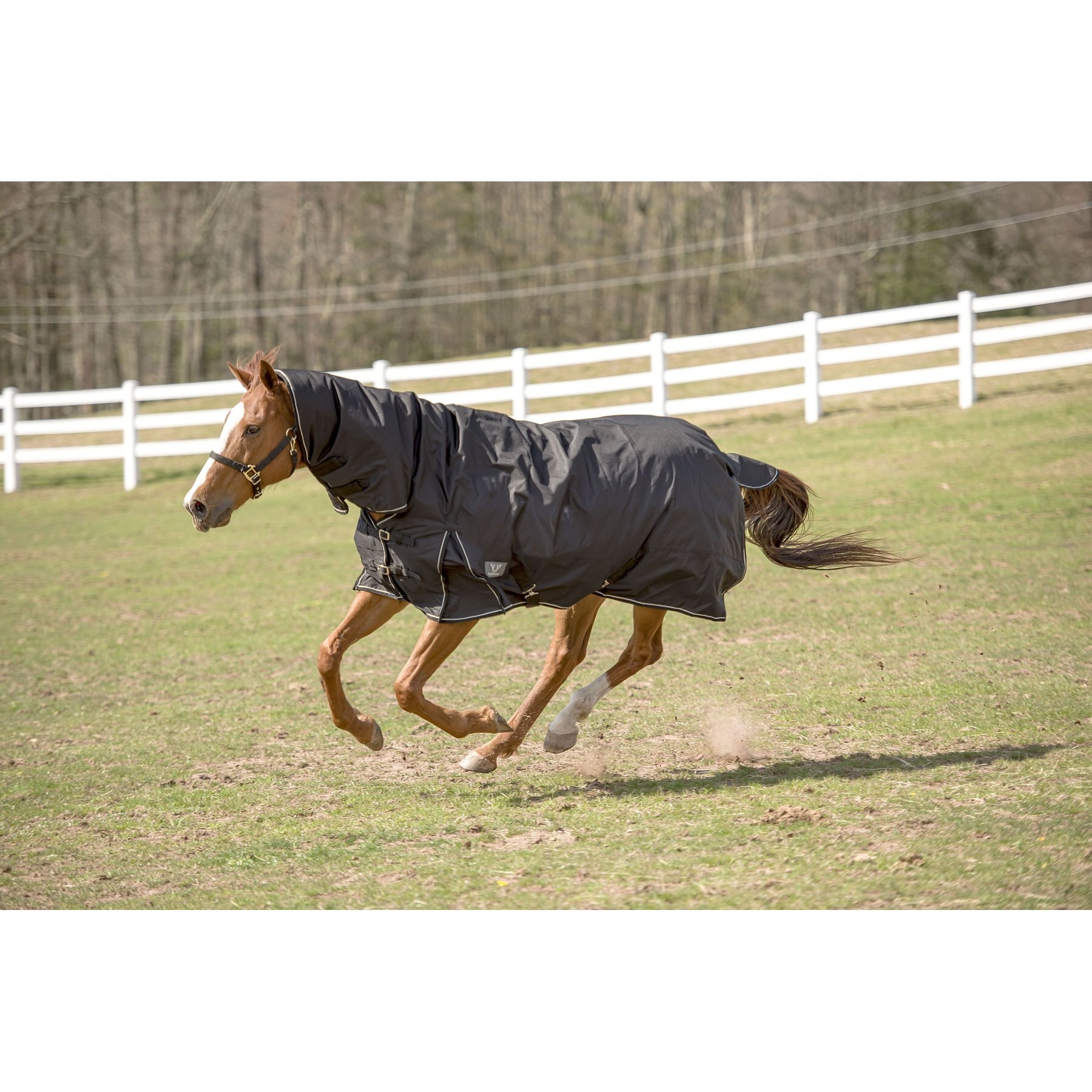 TuffRider 600 D Comfy Winter Medium Weight Combo Neck Horse Turnout Blanket, Black, 69-in