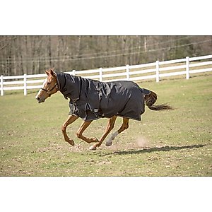 TuffRider 600 D Comfy Winter Medium Weight Combo Neck Horse Turnout Blanket, Black, 78-in