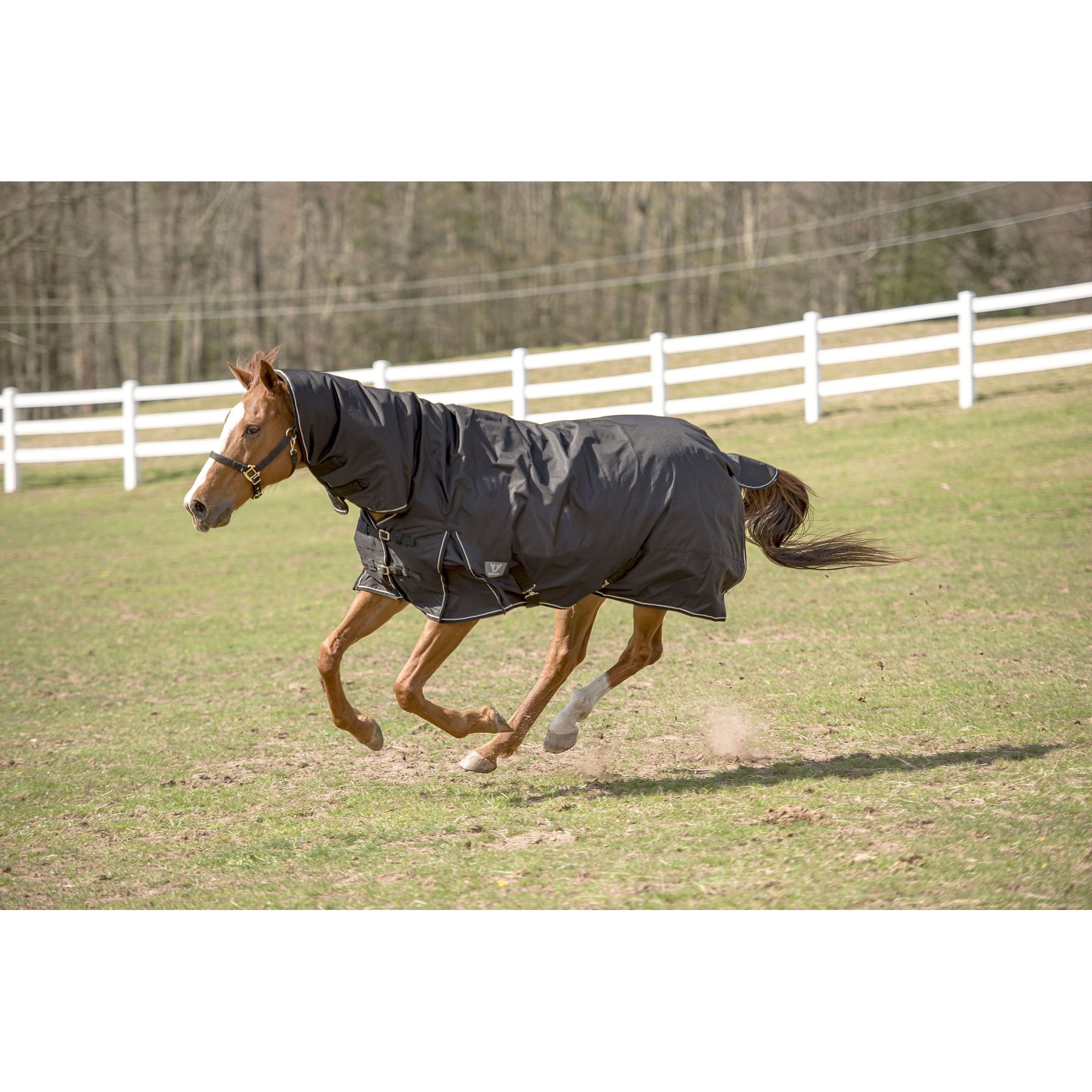 TuffRider 600 D Comfy Winter Medium Weight Combo Neck Horse Turnout Blanket, Black, 84-in