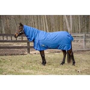 TuffRider 600 D Comfy Winter Medium Weight Combo Neck Horse Turnout Blanket, Palace Blue, 78-in