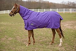 TuffRider 600 D Comfy Winter Medium Weight Combo Neck Horse Turnout Blanket, Purple, 69-in
