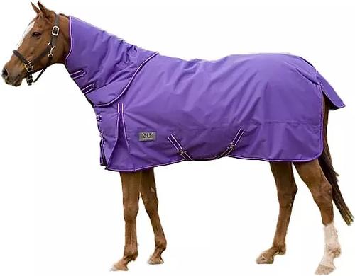Show full view: TuffRider 600 D Comfy Winter Medium Weight Combo Neck Horse Turnout Blanket, Purple, 81-in slide 2 of 3