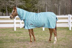 TuffRider 600 D Comfy Winter Medium Weight Combo Neck Horse Turnout Blanket, Turquoise, 69-in