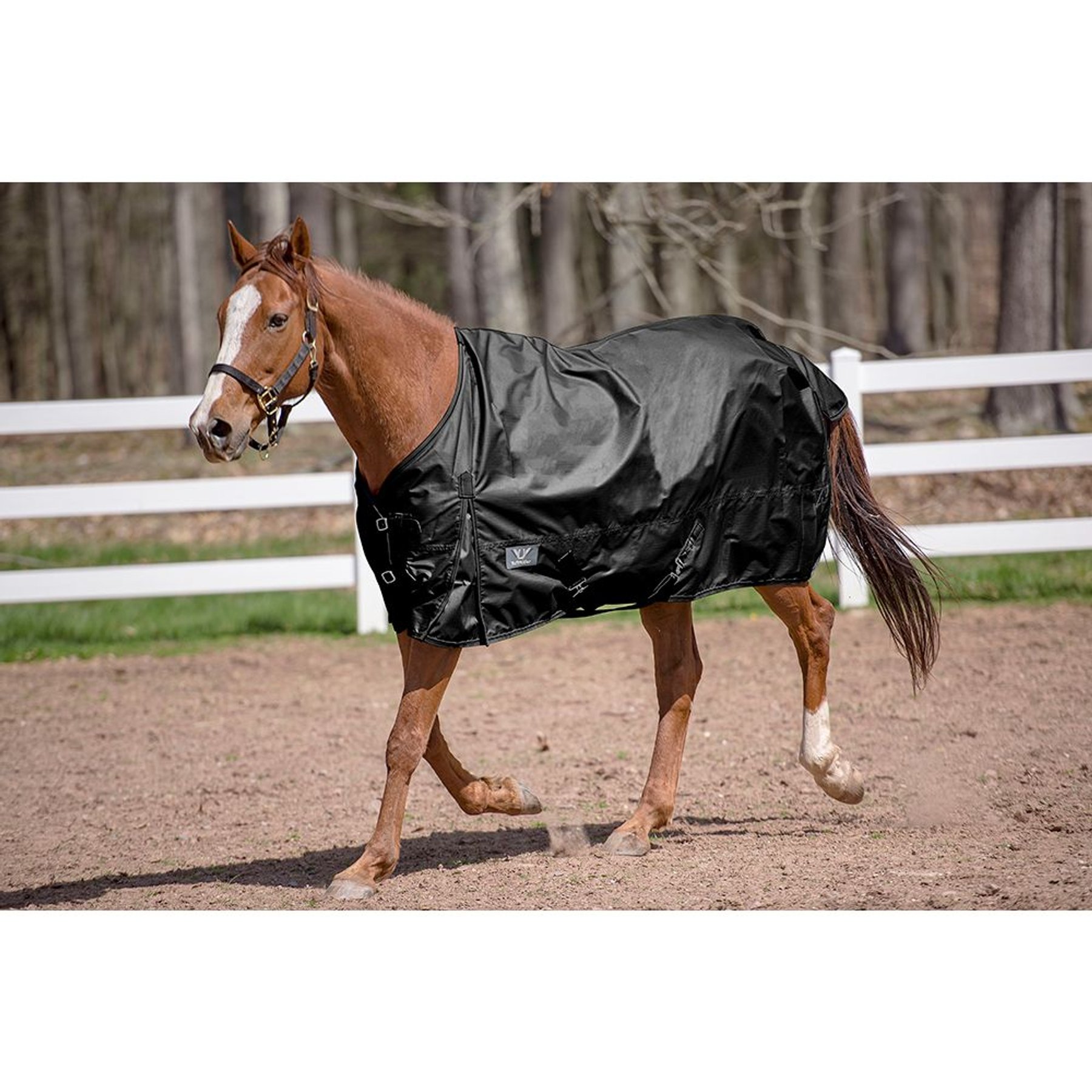 TuffRider 600 D Comfy Winter Standard Neck Horse Turnout Sheet, Black, 69-in