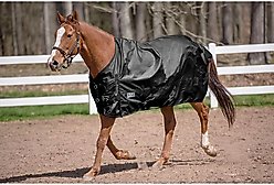 TuffRider 600 D Comfy Winter Standard Neck Horse Turnout Sheet, Black, 81-in