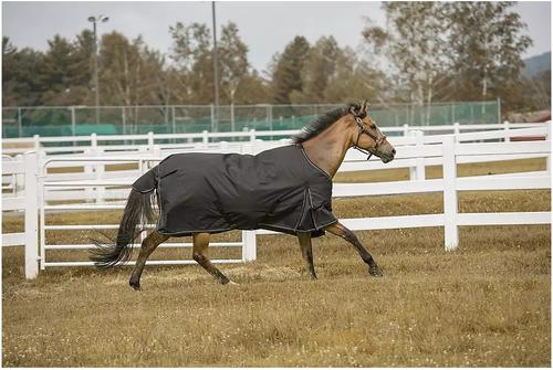 Show full view: TuffRider 600 D Comfy Winter Standard Neck Horse Turnout Sheet, Black, 81-in slide 2 of 3