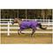 Show in main carousel: TuffRider 600 D Comfy Winter Standard Neck Horse Turnout Sheet, Purple, 69-in slide 2 of 4