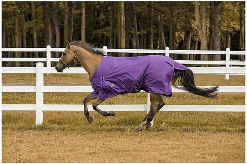 Show full view: TuffRider 600 D Comfy Winter Standard Neck Horse Turnout Sheet, Purple, 69-in slide 2 of 4