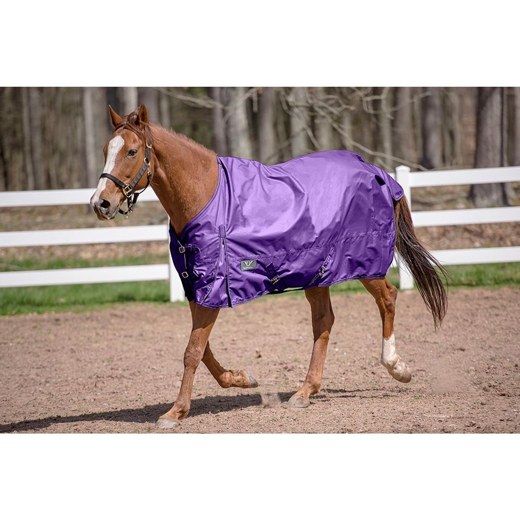 TuffRider 600 D Comfy Winter Standard Neck Horse Turnout Sheet, Purple, 84-in