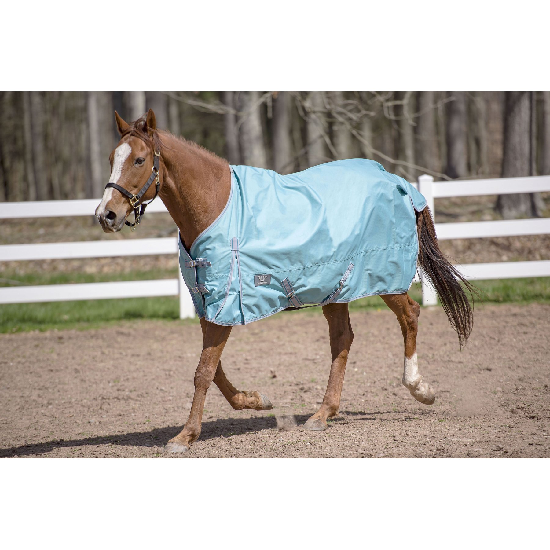 TuffRider 600 D Comfy Winter Standard Neck Horse Turnout Sheet, Turquoise, 81-in