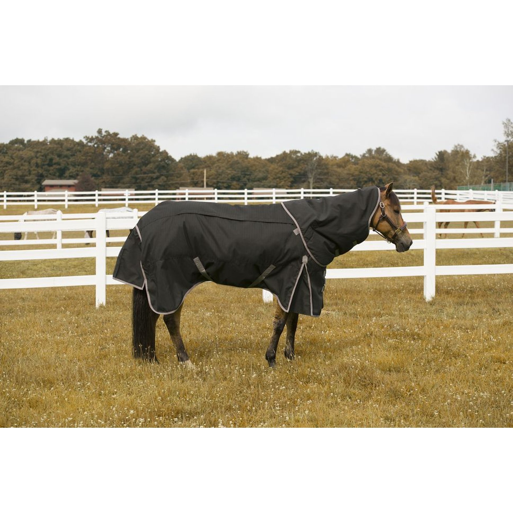 TuffRider All Season Horse Blanket, Black, 78-in