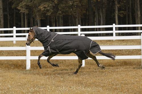 Show full view: TuffRider All Season Horse Blanket, Black, 78-in slide 2 of 5