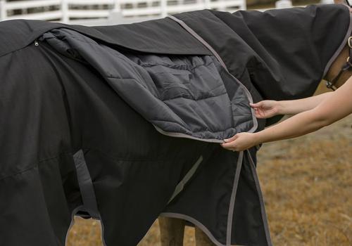 Show full view: TuffRider All Season Horse Blanket, Black, 78-in slide 3 of 5