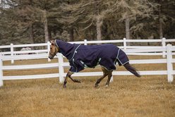 TuffRider All Season Horse Blanket, Navy, 66-in