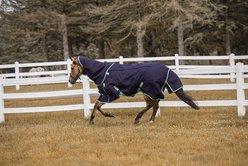 TuffRider All Season Horse Blanket, Navy, 72-in