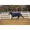 Show in main carousel: TuffRider All Season Horse Blanket, Navy, 72-in slide 1 of 4