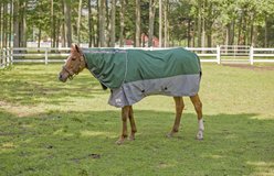 TuffRider Bonum 1200D Medium Weight 200G Detachable Neck Two Tone Horse Turnout Blanket, 81-in