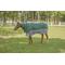 Show in main carousel: TuffRider Bonum 1200D Medium Weight 200G Detachable Neck Two Tone Horse Turnout Blanket, 81-in slide 1 of 4
