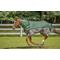 Show in main carousel: TuffRider Bonum 1200D Medium Weight 200G Detachable Neck Two Tone Horse Turnout Blanket, 81-in slide 3 of 4