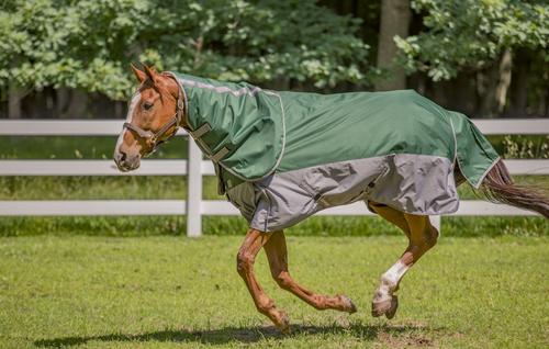 Show full view: TuffRider Bonum 1200D Medium Weight 200G Detachable Neck Two Tone Horse Turnout Blanket, 81-in slide 3 of 4