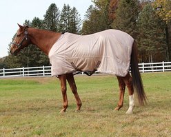 TuffRider Comfy Mesh Standard Neck Horse Fly Sheet, Adobe Rose, 69-in