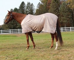 TuffRider Comfy Mesh Standard Neck Horse Fly Sheet, Adobe Rose, 81-in