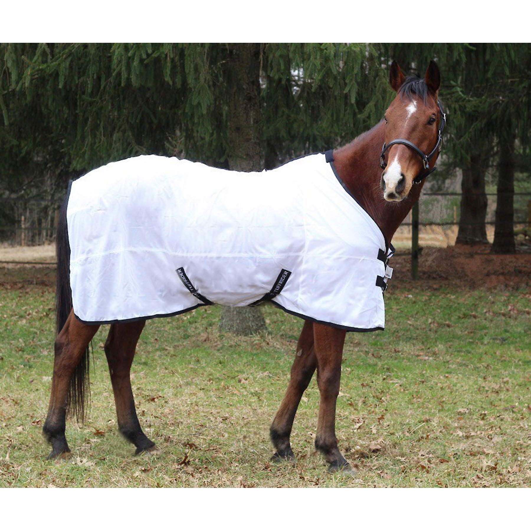 TuffRider Comfy Mesh Horse Fly Sheet, White, 69-in