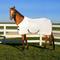 Show in main carousel: TuffRider Comfy Mesh Horse Fly Sheet, White, 78-in slide 6 of 10