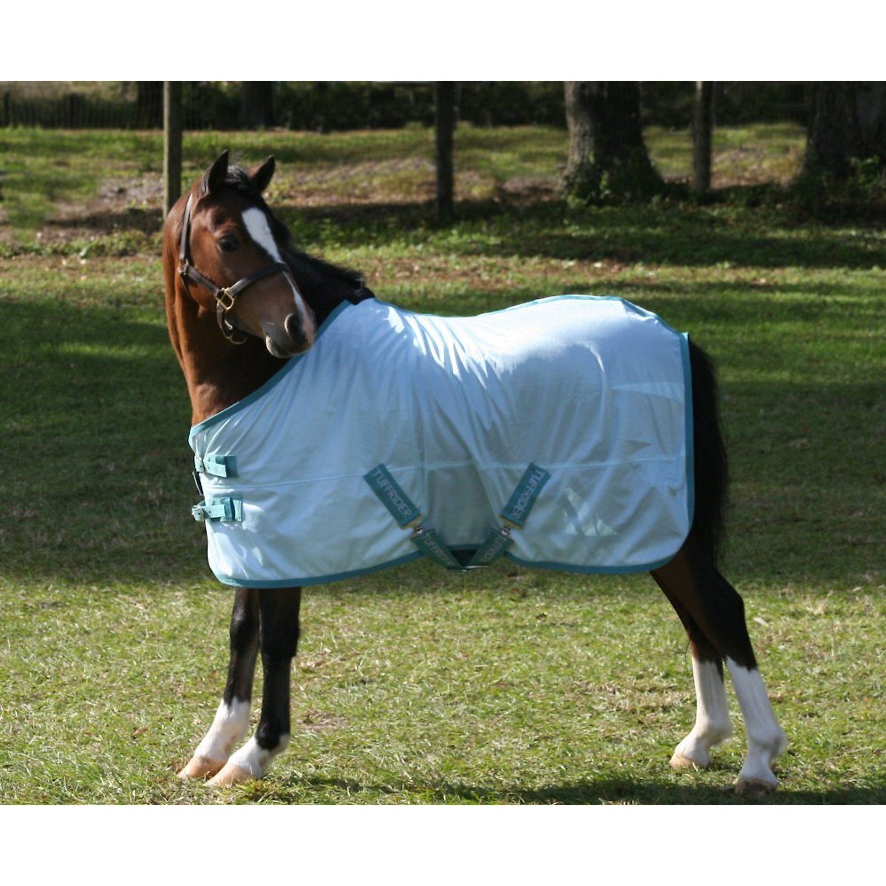 TuffRider Comfy Mesh Mini Horse Fly Sheet, Porcelain Blue/Teal, 40-in