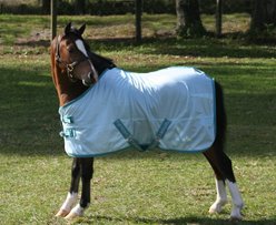 TuffRider Comfy Mesh Mini Horse Fly Sheet, Porcelain Blue/Teal, 56-in