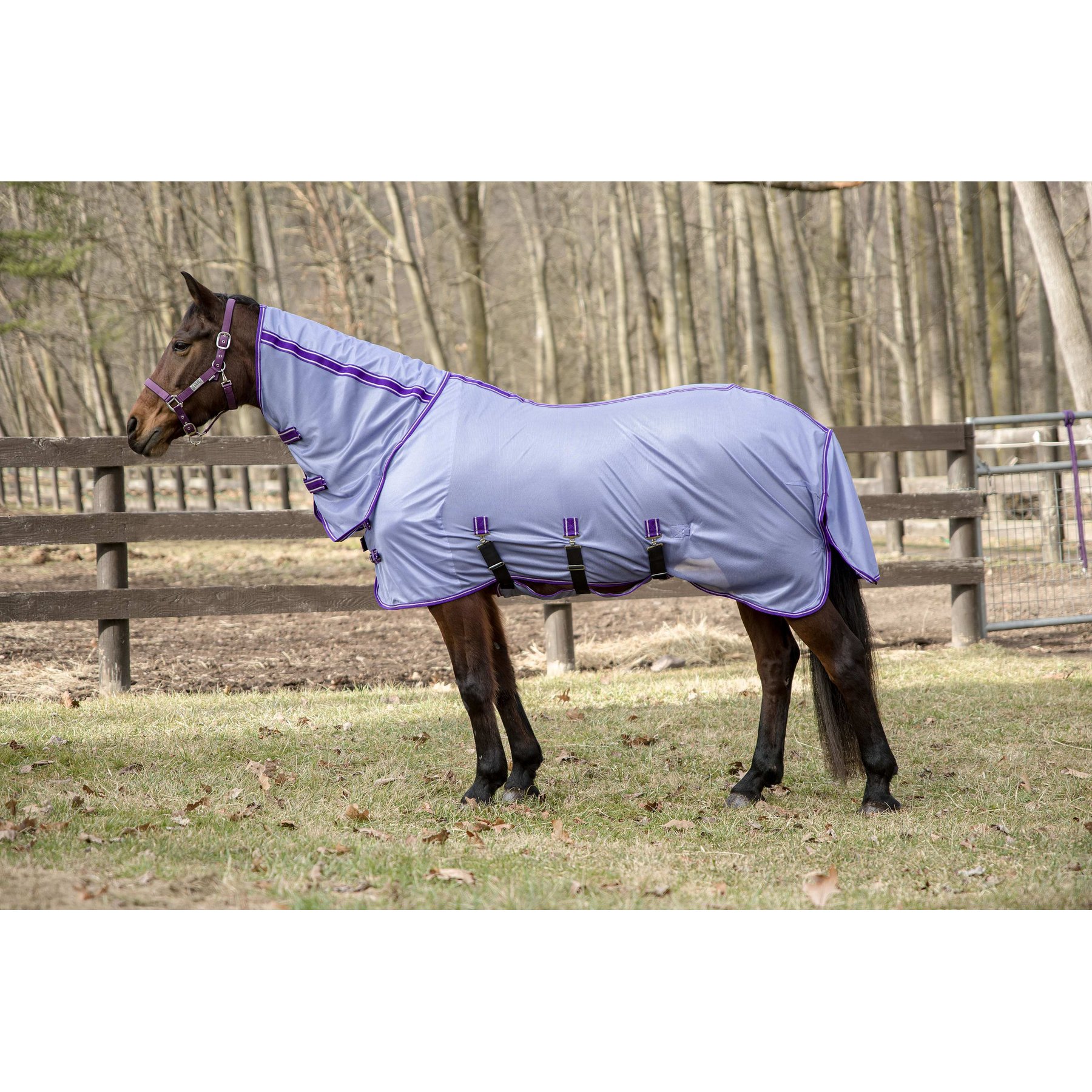 TuffRider Comfy Plus Combo Neck Horse Fly Sheet, Purple, 69-in