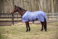TuffRider Comfy Plus Standard Neck Horse Fly Sheet, Purple, 72-in