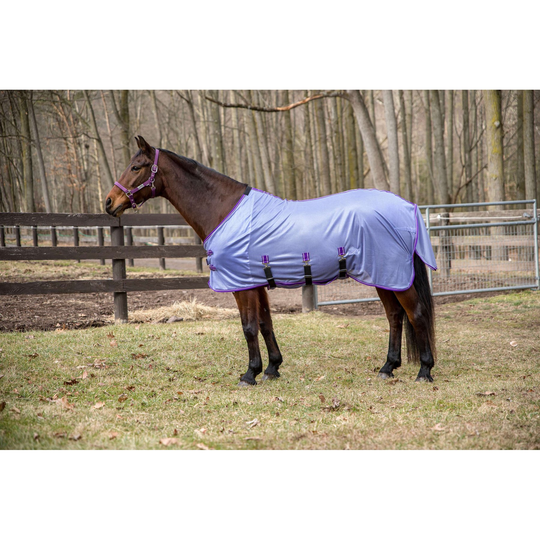 TuffRider Comfy Plus Standard Neck Horse Fly Sheet, Purple, 72-in
