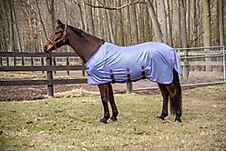 TuffRider Comfy Plus Standard Neck Horse Fly Sheet, Purple, 81-in