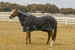TuffRider Cooler Combo Horse Sheet, Black, 66-in