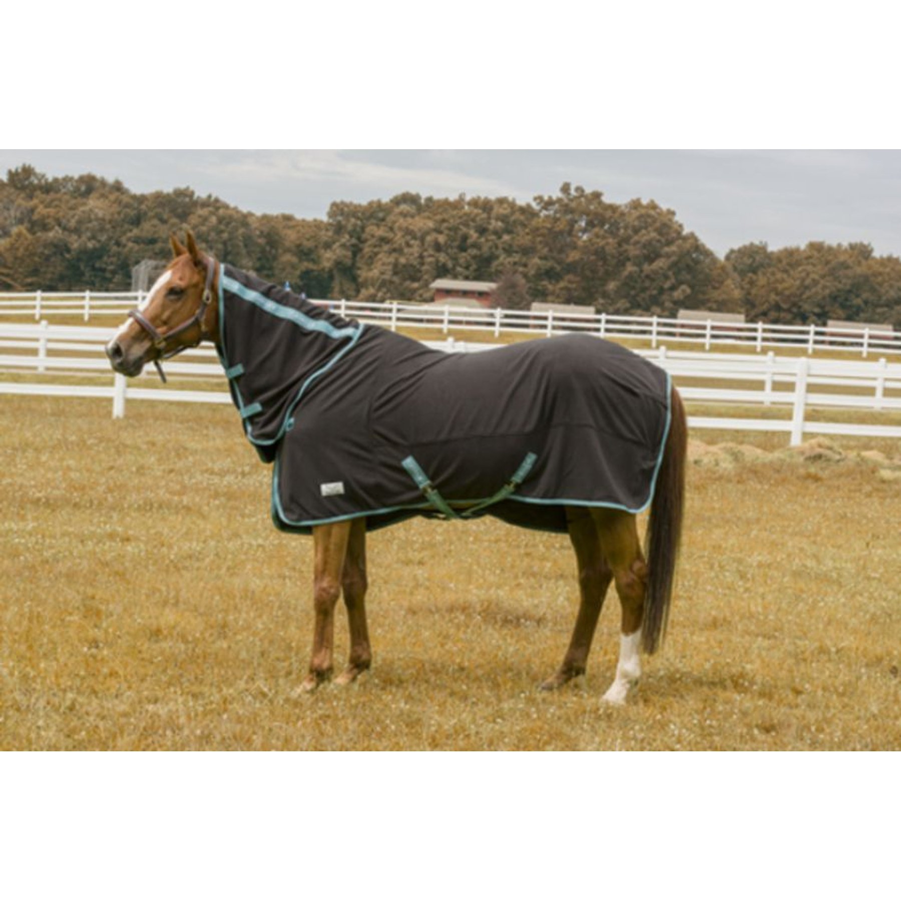 TuffRider Cooler Combo Horse Sheet, Black, 69-in