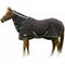 Show in main carousel: TuffRider Cooler Combo Horse Sheet, Black, 69-in slide 3 of 3