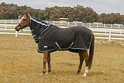 TuffRider Cooler Combo Horse Sheet, Black, 72-in
