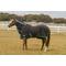 Show in main carousel: TuffRider Cooler Combo Horse Sheet, Black, 72-in slide 1 of 3