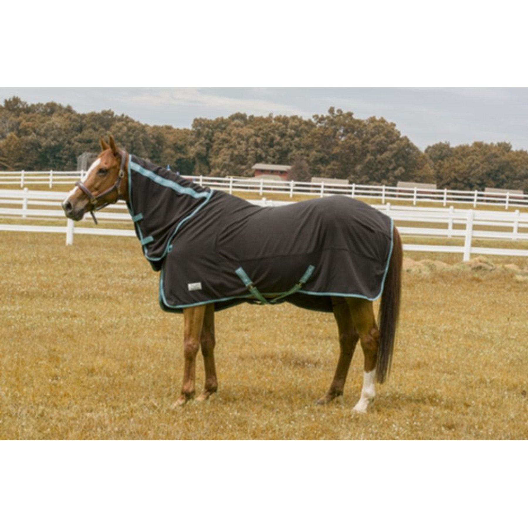 TuffRider Cooler Combo Horse Sheet, Black, 81-in