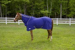 TuffRider Cooler Combo Horse Sheet, Deep Wisteria, 66-in